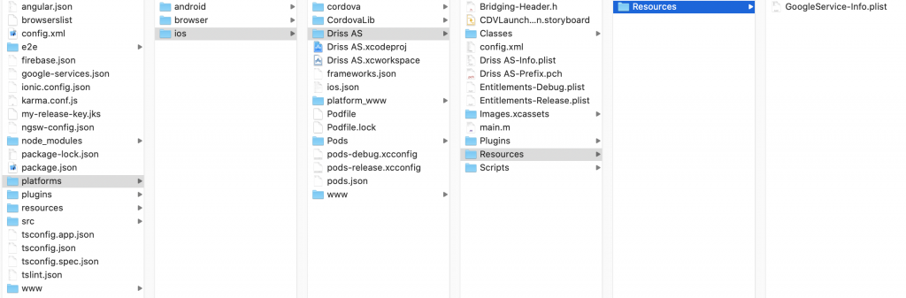Ionic notification firebase cloud messaging GoogleService-Info.plist resources